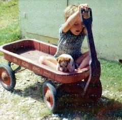 Katherine McDougal Wheeler McCandless; wagon